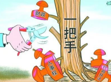 你確定你們的項目是“一把手工程”？